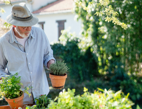 Featured: How AI is Supporting More Human-Centered Care